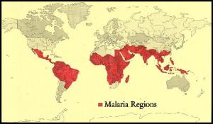 world malaria zones